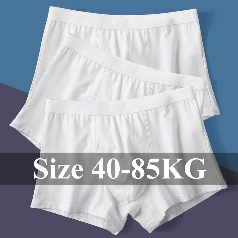 1 Buah/3 Buah Set Pakaian Dala - Boxer Brief Pack Cotton ulasan dan harga